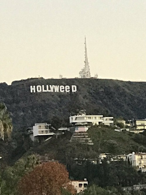 HollyWeed