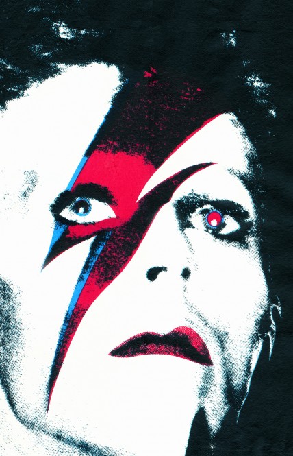 Bowie Face No 1