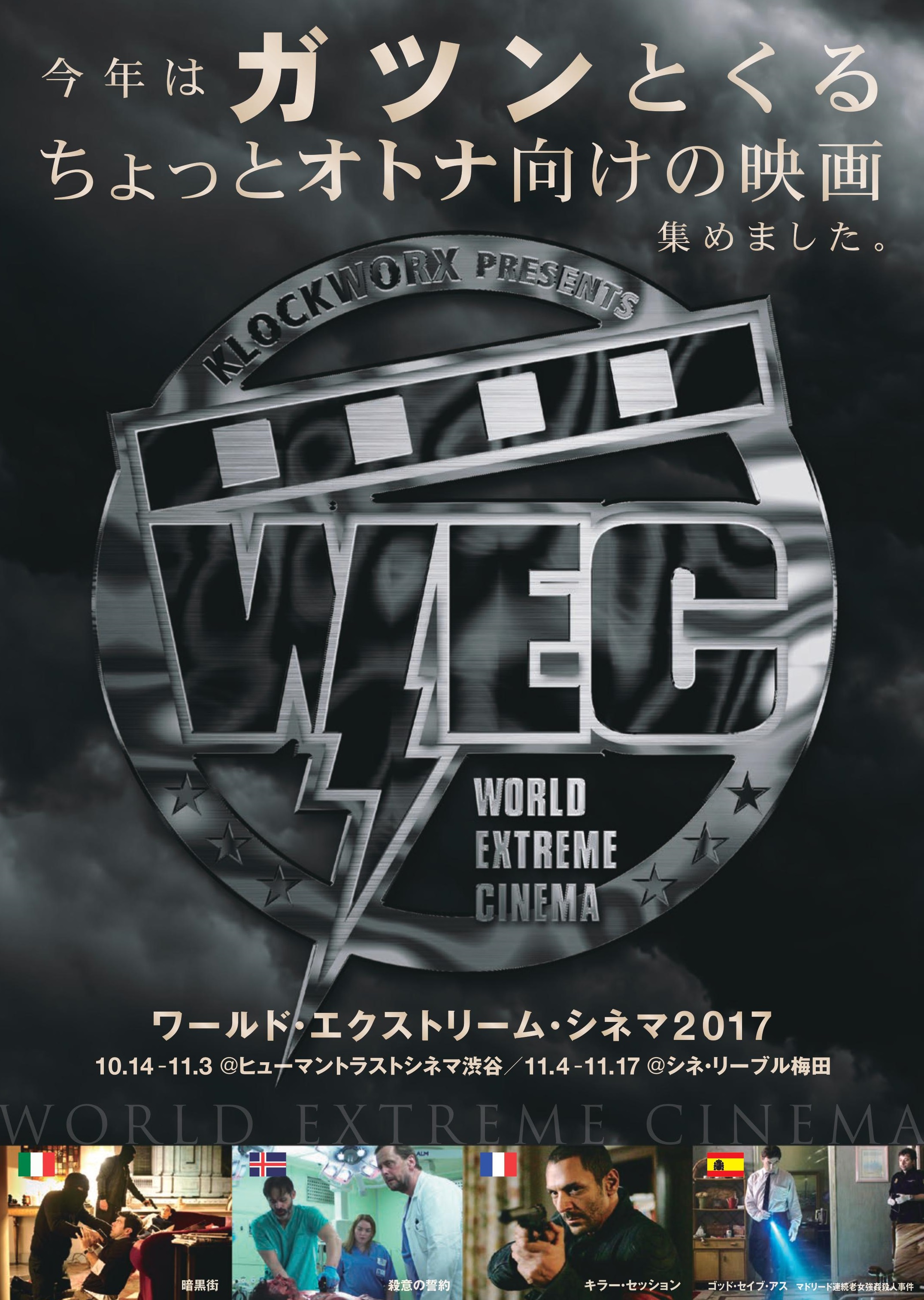 wec_チラシ表