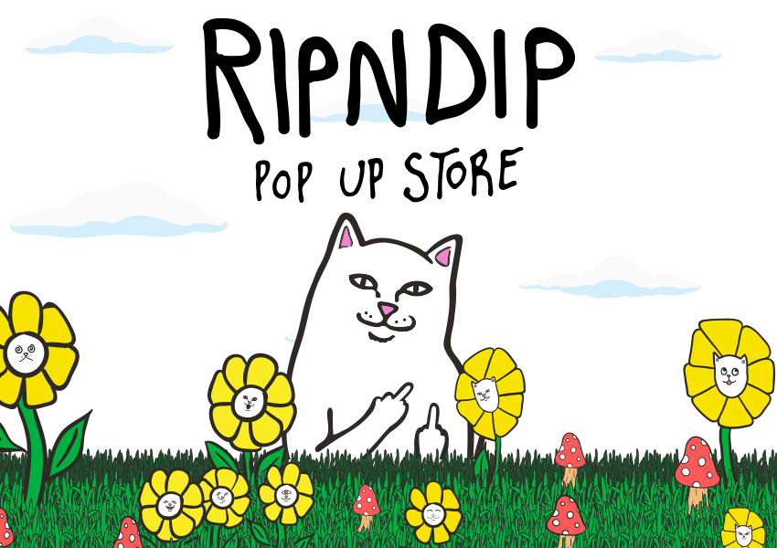 RIPNDIP POP UP_main